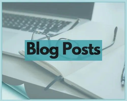 Blog Posts